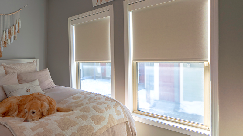 Draper at Home window shades in a bathroom